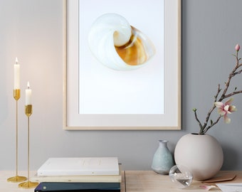 Kunstprint schelp #5 | Fotoprintposter zonder lijst | Muurdecoratie voor de woonkamer | Fotokunstprint | Nautische wanddecoratie