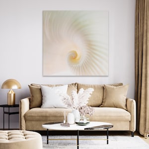 Peut inclure: Gros plan sur une coquille blanche avec un motif en spirale. La coquille est éclairée par l'arrière, créant une lueur douce et éthérée.