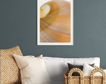Kunstprint schelp #8 | Fotoprintposter zonder lijst | Muurdecoratie voor de woonkamer | Fotokunstprint | Nautische wanddecoratie