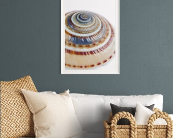 Kunstprint schelp #6 | Fotoprintposter zonder lijst | Muurdecoratie voor de woonkamer | Fotokunstprint | Nautische wanddecoratie