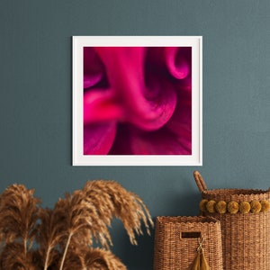 Blumenbild Dahlienblüte abstrakt #1 | Kunstdruck Poster | Fotoprint in dunkelrot für Wohnzimmer o. Flur | Fotokunst Wandbild Wanddekoration