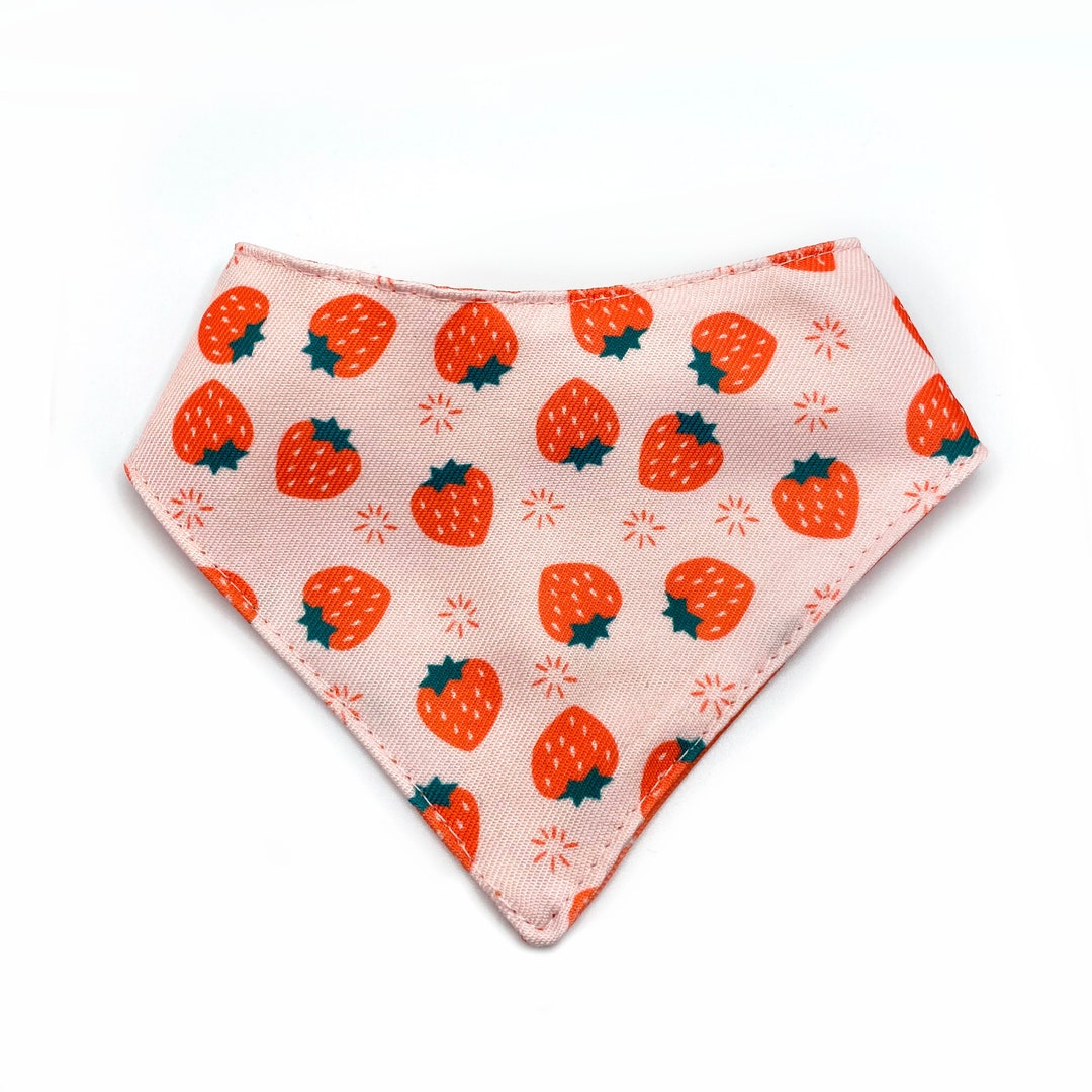 Strawberry Pet Bandana, Pink Pet Bandana, Summer Cat Bandana, Summer ...