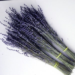 Lavender Bunches (Three per order), Dried Lavender, English Lavender