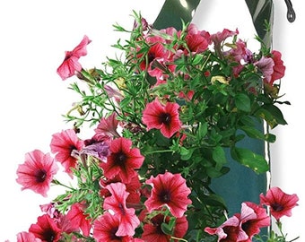 Bolsas de flores - Paquete de 10 - Jardineras de fresas