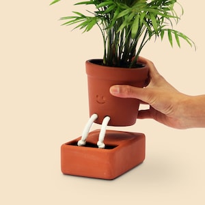 May include: A terracotta planter with a smiley face and white legs, holding a potted plant. The planter is designed to self-water, with a reservoir in the base.