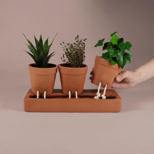 May include: Three terracotta plant pots with smiling faces and rope legs in a matching tray. The pots contain green plants. One pot is being held by a hand. The background is a muted pink.
