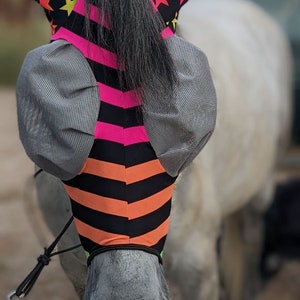 The Best Fly Mask for your Horse!