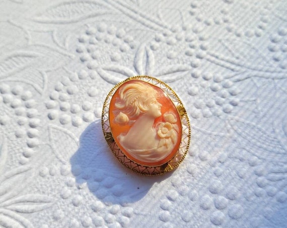 Vintage Cameo Brooch / Pin in 10kt Yellow Gold - image 1