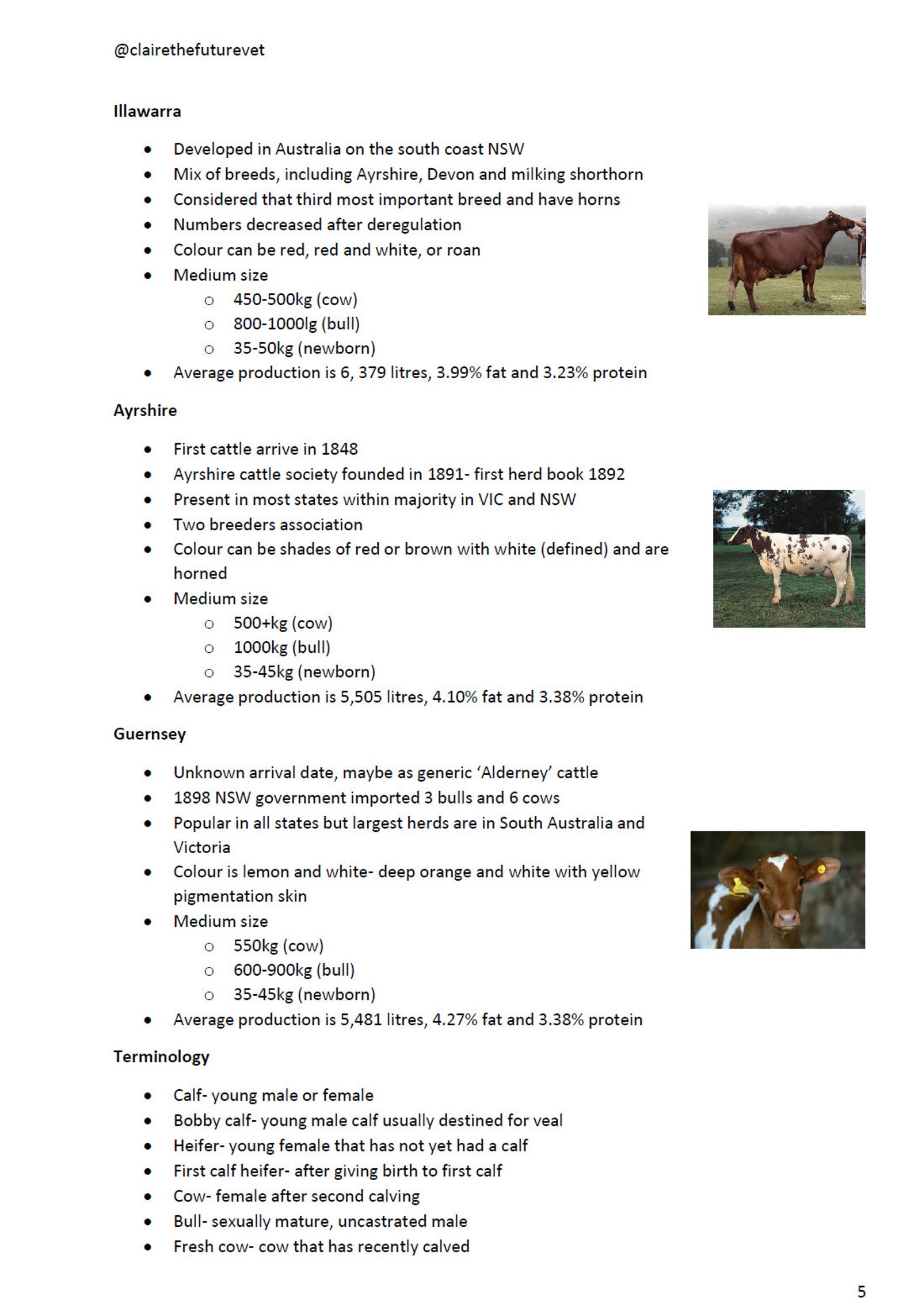 VETS10250 Animal management for veterinarians Semester 1 Etsy