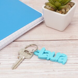 May include: A light blue keychain with the name "Laura" attached to a silver key. The keychain is lying on a light wood surface next to a blue spiral notebook and a small white pot with a green plant.