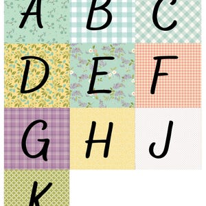 Adel in Spring Panel Quilt Kit – Sandy Gervais for Riley Blake – Easy ...