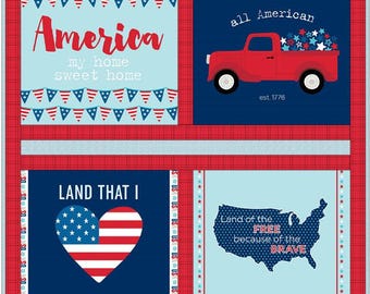 Fireworks and Freedom Quilt Kit - Riley Blake Fabrics - Make a Easy Beginner Quilt- USA - Truck - Learn to Quilt - Complete Quilt Available