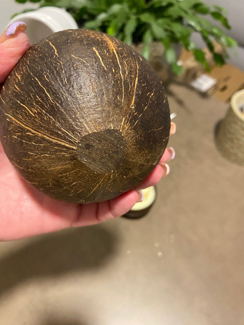 K&ouml;nnte beinhalten: Ein dunkelbraunes, kugelf&ouml;rmiges Objekt mit strukturierter Oberfl&auml;che und hellbraunen Adern. Das Objekt scheint aus einem nat&uuml;rlichen Material, m&ouml;glicherweise einer Kokosnussschale, hergestellt zu sein. Das Objekt wird in einer Hand gehalten.
