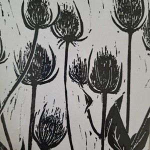 Teasles - Oiriginal linocut print, lino print, handcut, handmade, botanical, gift.