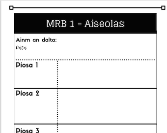 Gaeilge MRB - Feedback Sheets for Teacher