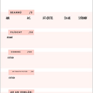 Leaving Cert Irish Oral Digital Feedback Sheets for Teacher zdjęcie 2