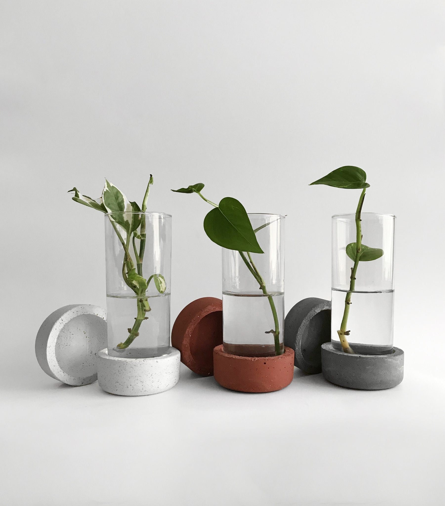 Handmade Concrete Glass Propagation Vessel/indoor Plant Propagation