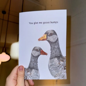 Goose greetings card|You give me goose bumps|recyclable|valentines card |birthday card|anniversary card| animal card