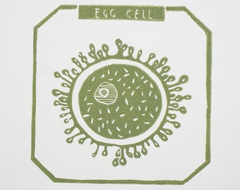 Egg Cell Print| Original print | Linocut print | Science Art  |Gift | Gift for her |Gift for him |House warming gift |