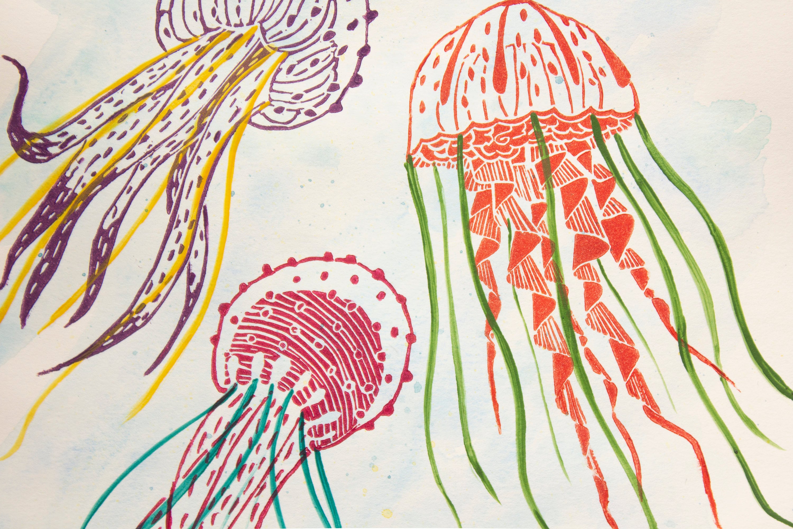 Jellyfish lino print Original print Linocut print Animal Etsy