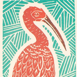 Scarlet Ibis Bird Print Original print Linocut print Animal print Gift Gift for her Gift for him House warming gift image 1