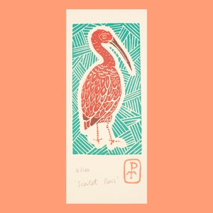 Scarlet Ibis Bird Print Original print Linocut print Animal print Gift Gift for her Gift for him House warming gift image 2
