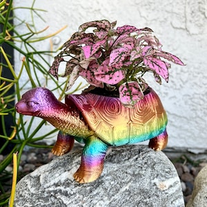 Turtle Planter 3D Printed Tortoise Realistic Garden Decor Novelty Indoor Outdoor Plants Succulent Cactus Flowers