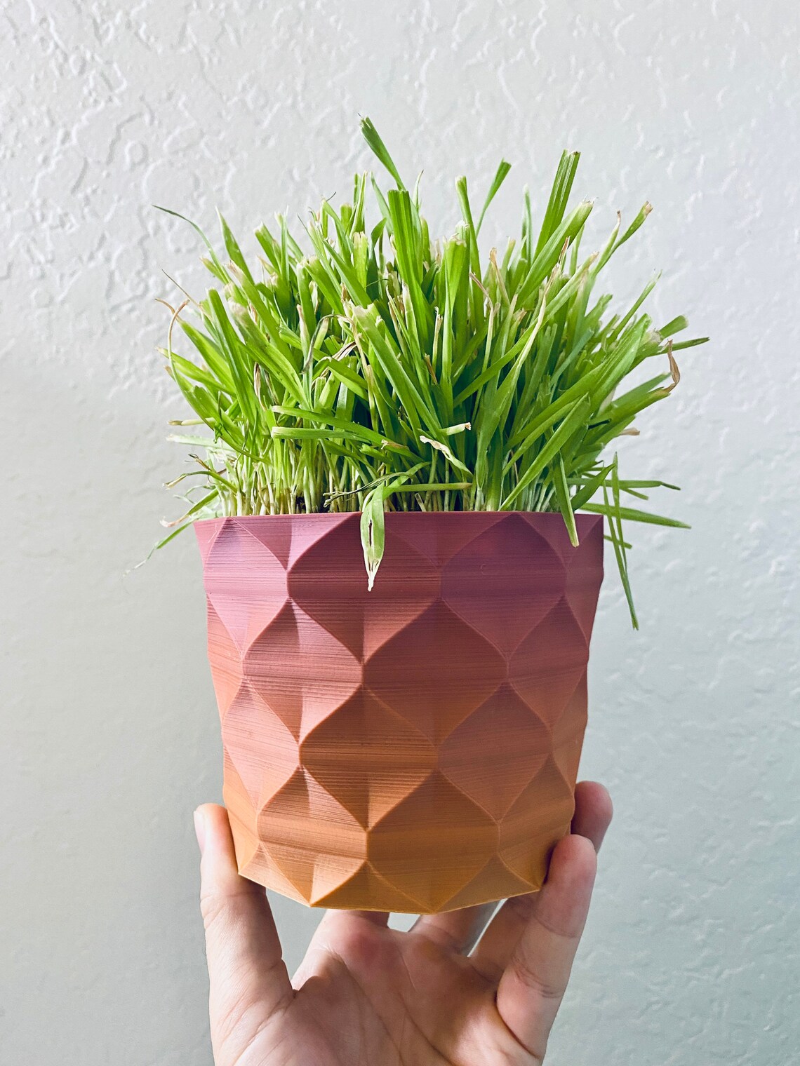 Maceta de jardinera moderna impresa en 3D hecha a medida | Etsy