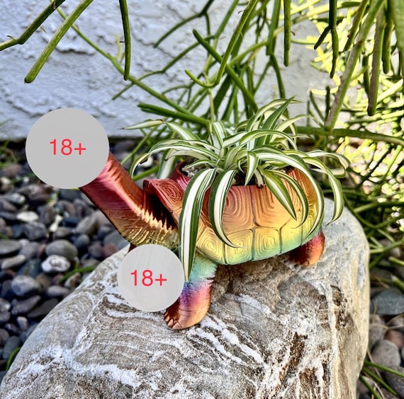 Turtle Dick Planter 3D Printed Tortoise Penis Dickasaurus Rex Bachelorette Party Gift Funny Prank Garden Decor Sex Novelty Dildo Mature