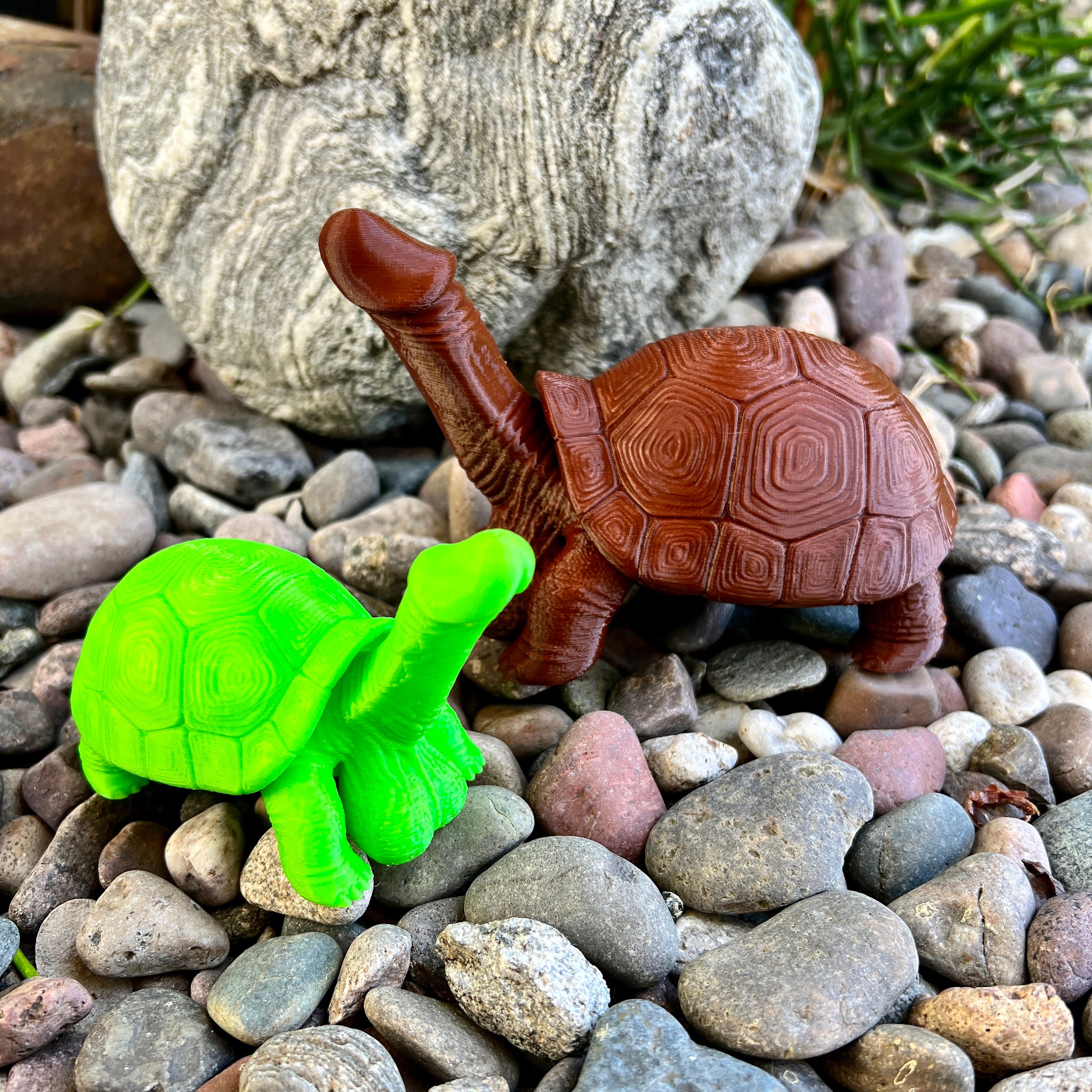 タートルディック亀ペニスディッカサウルスレックス独身パーティー