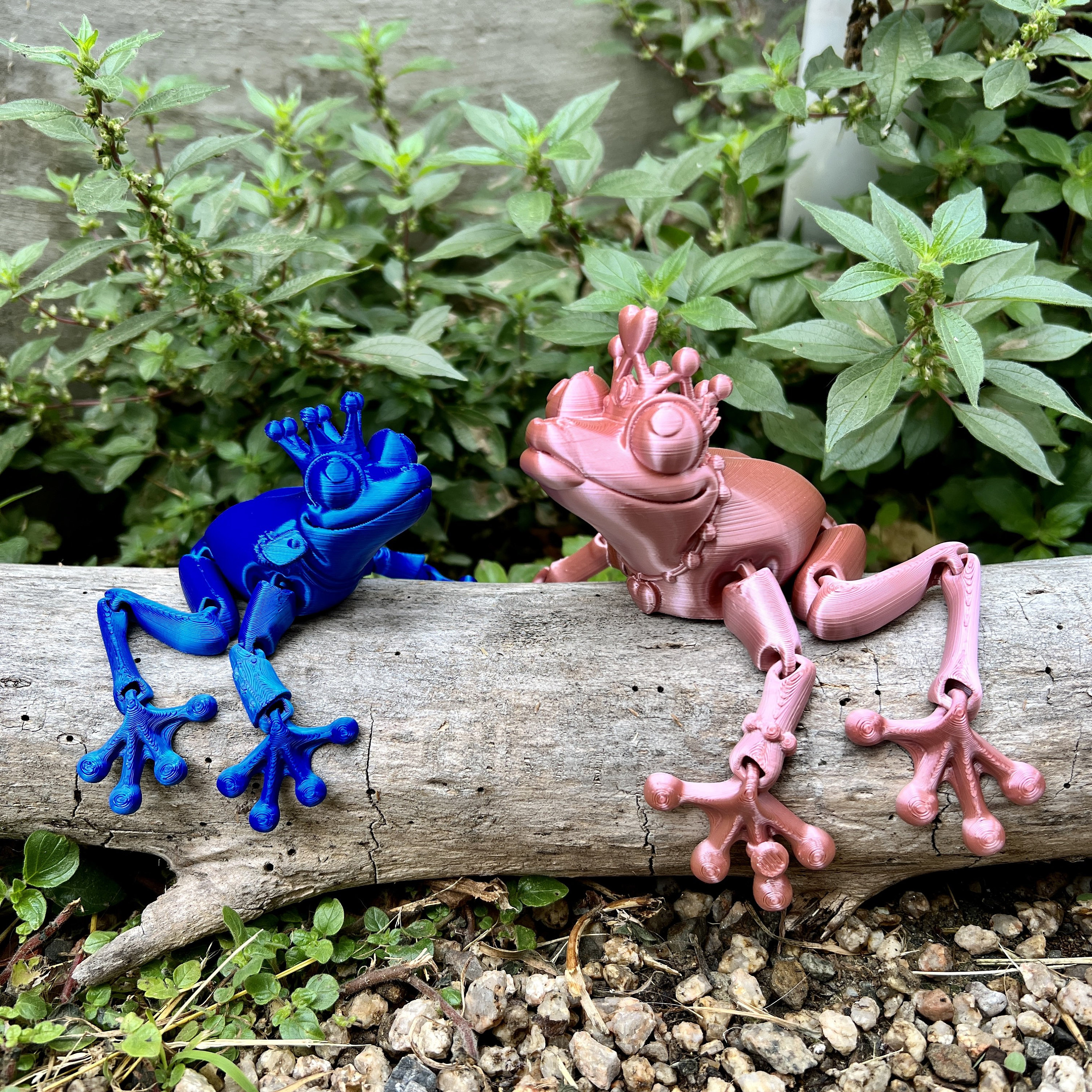Frog Prince & Princess 3D Printed Articulated Moveable Toy