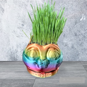 Może przedstawiać: Doniczka w kształcie tęczowego kota z zieloną trawą rosnącą na górze. Doniczka ma kołnierz wokół szyi.