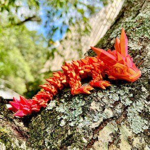 Baby Dragon Crystal Rainbow 3D Drukowane Perfekcyjne Dekoracje Półek na Książki Dekoracja Biurka Fidget Sensoryczna Zabawka Stres Cosplay Fantasy Dino Rex Cosplay