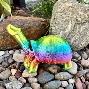 Turtle Sex Toy