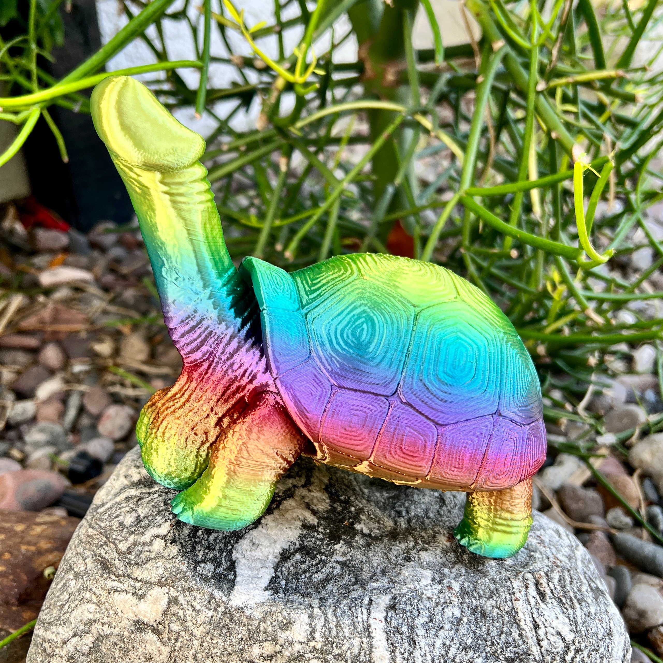 タートルディック亀ペニスディッカサウルスレックス独身パーティー