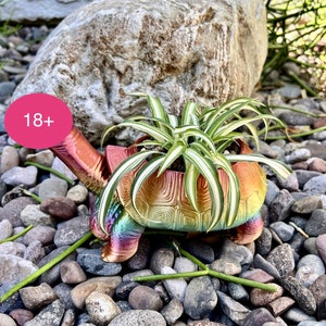 Puede incluir: Una maceta con forma de tortuga colorida con una planta araña verde y blanca creciendo dentro. La maceta está sentada sobre un lecho de pequeñas piedras grises.