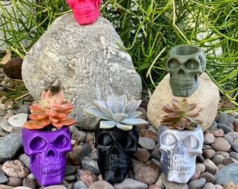 May include: Five skull-shaped planters in different colors, each with a small succulent plant growing inside. The planters are made of ceramic and have a glossy finish. The succulents are green, pink, and white.
