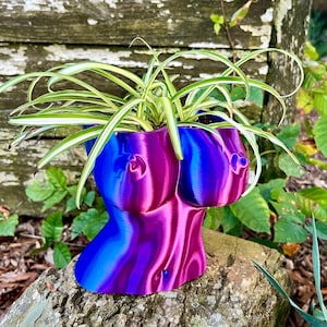 May include: A purple and blue 3D printed planter shaped like a torso, with a green spider plant growing inside.