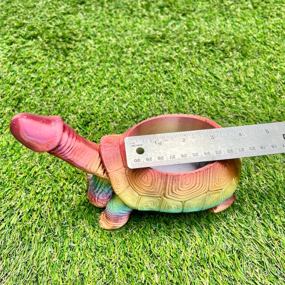 turtle sex toy Buy Timeless Pleasure Turtle with Safe & discreet shipping! main image 1