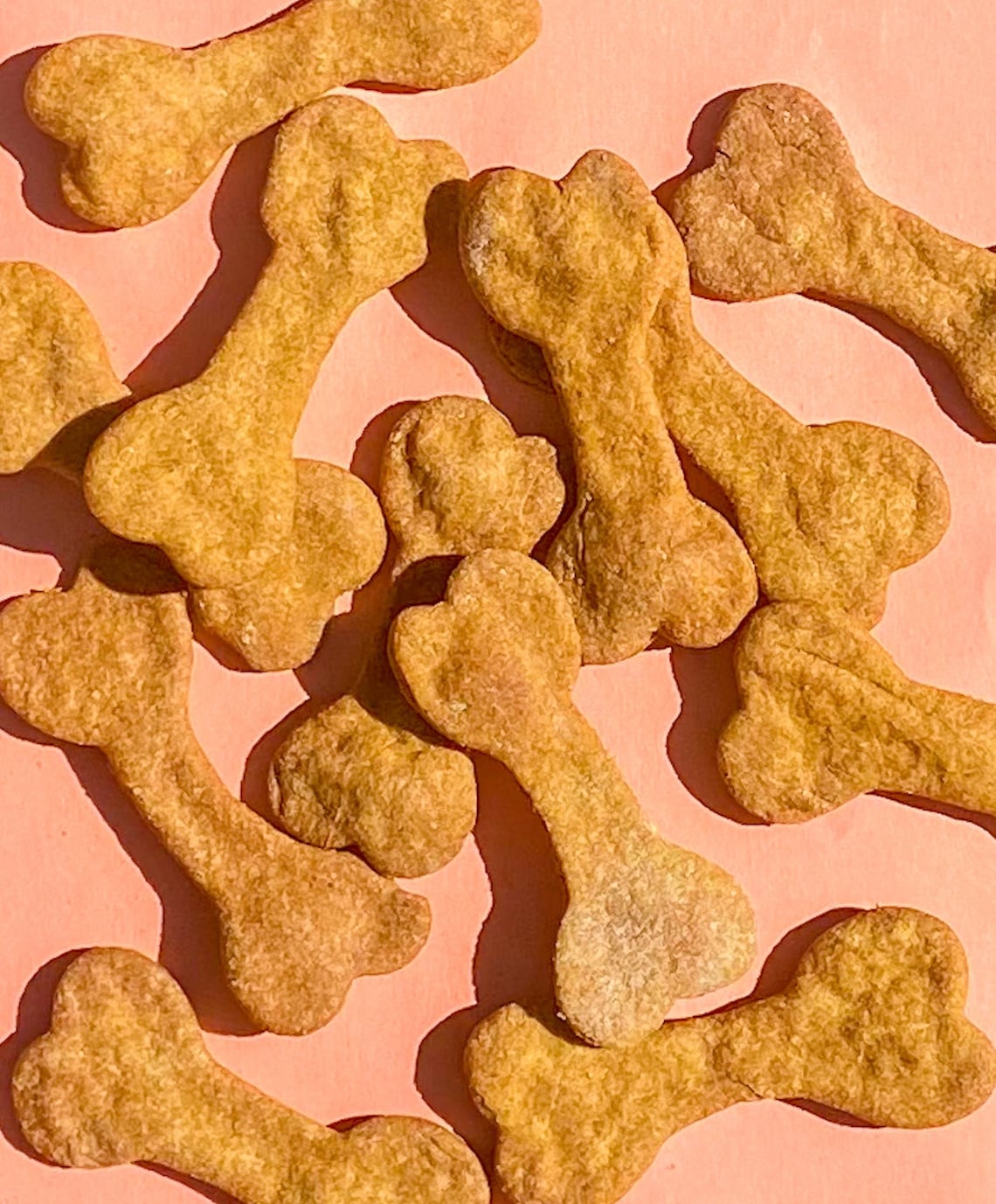 pumpkin-spice-fall-dog-treats-with-free-shipping-etsy
