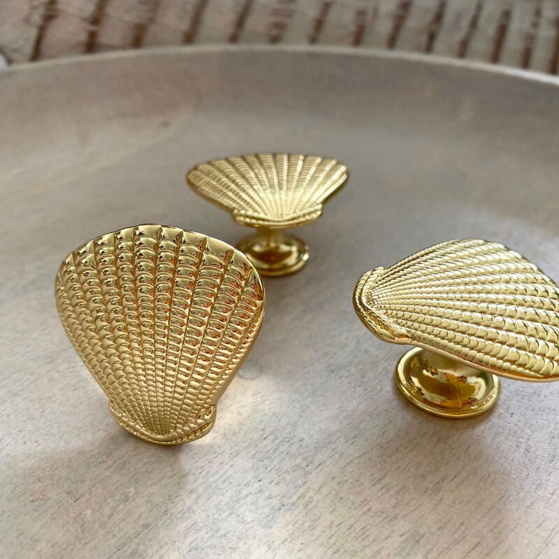 Shell Knob - Etsy