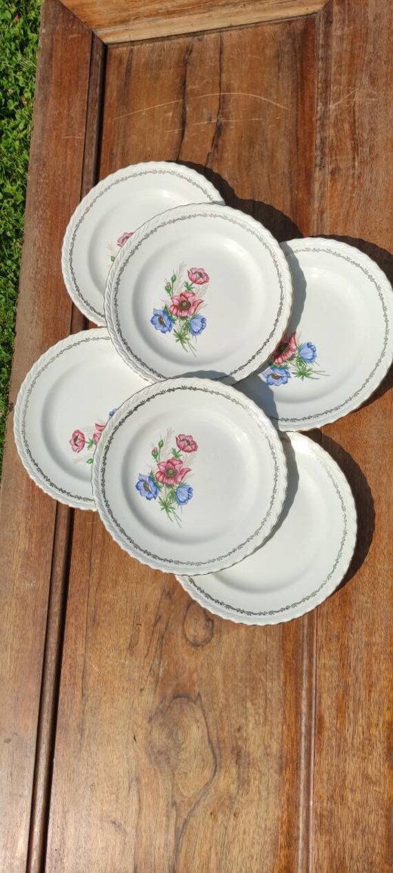 Ensemble Vintage et Raffiné d'assiettes en Porcelaine L'amandinoise