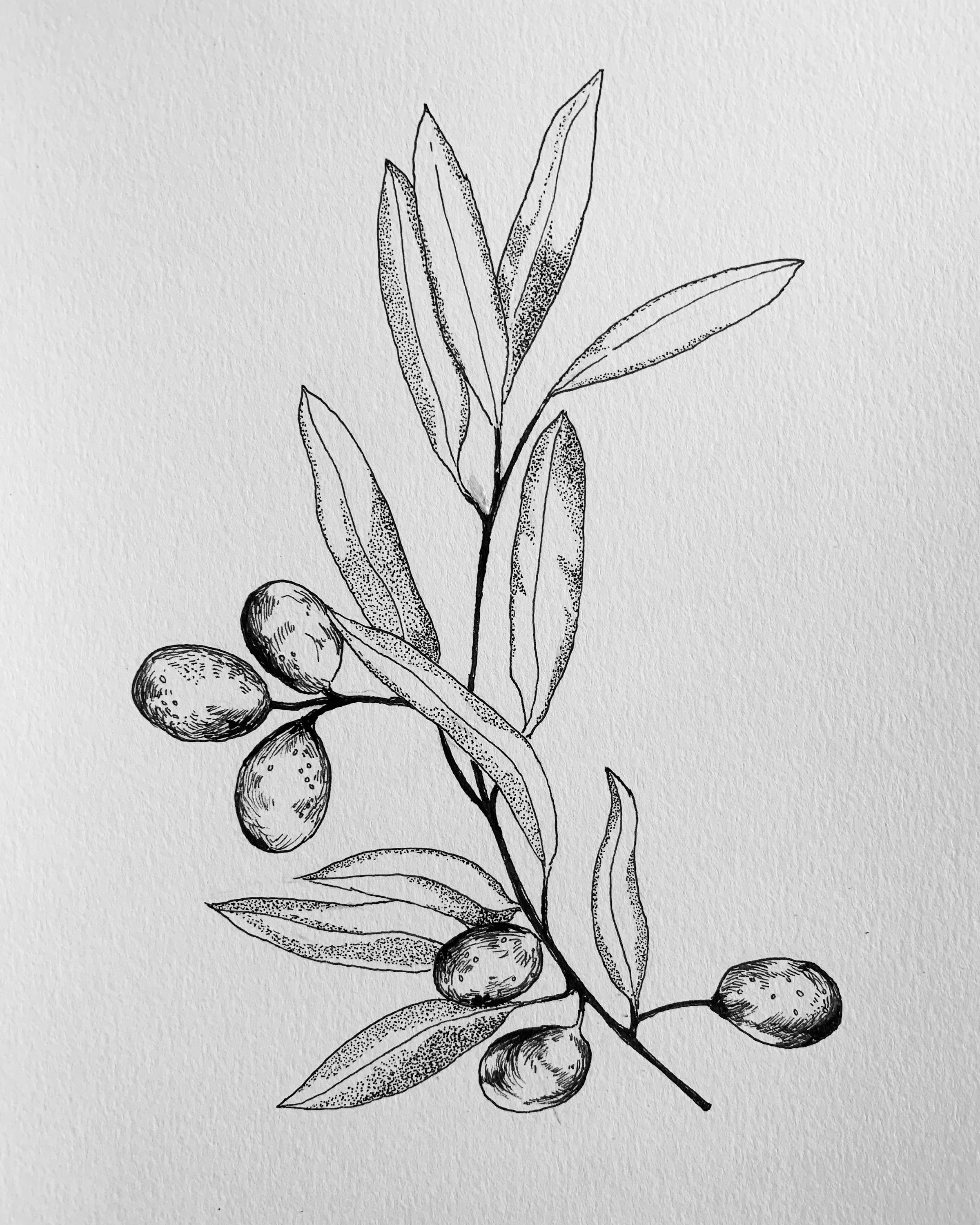 Olive Branch Print A5 Etsy