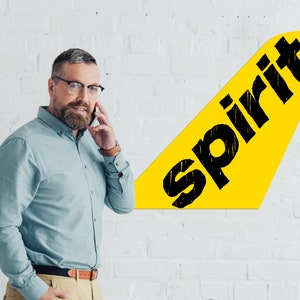 Spirit Airlines Tail Art: 36&quot; Airplane Livery, Pilot Gift