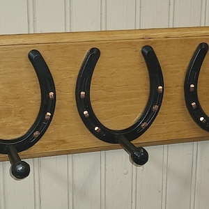 Horseshoe Coat Rack, Knotty Pine Board With Forged Shaker Pegs