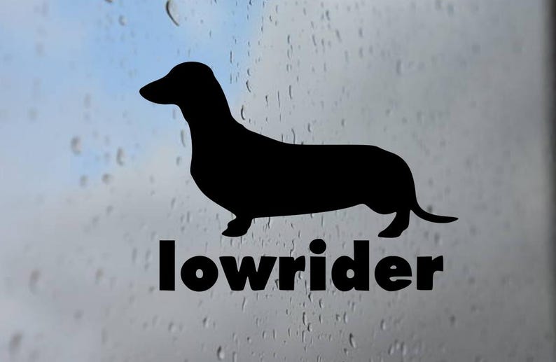 Low Rider Dachshund Vinyl Decal Sticker, Car, Laptop, Home Decor - Etsy