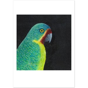 10 cartes plates « SWIFT PARROT » A5 recto-verso plus enveloppes standard livraison gratuite