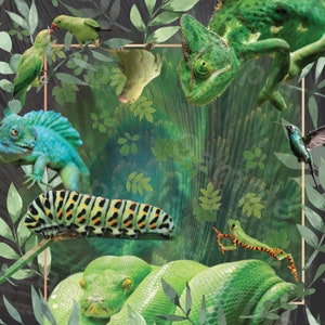 Green Home decor that is handmade, beautifly made, perfect for home or office. Customized Collages.