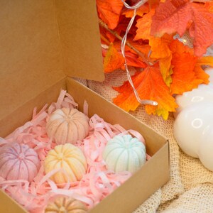 Pumpkin Patch Wax Melts Box - Fall Fragrances and Home Decor - Seasonal Scents