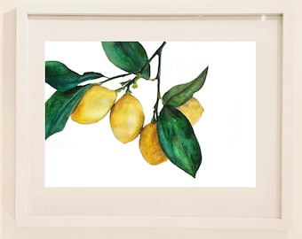 Lemons Watercolour Art Print - Wall Art - Botanical Print - Kitchen Art - Unframed